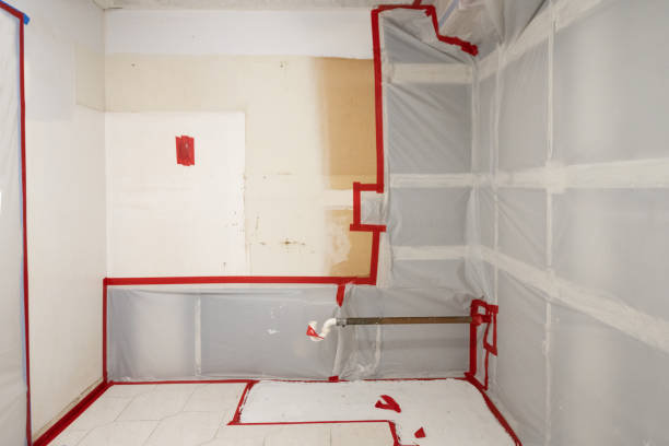 Best Attic Mold Removal  in Cedar Springs, MI