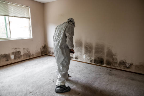 Best Industrial Mold Remediation  in Cedar Springs, MI