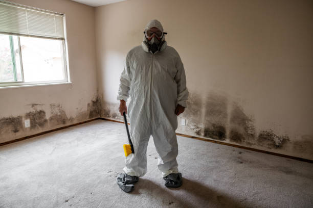 Cedar Springs, MI Mold Inspection, Removal & Remediation Company